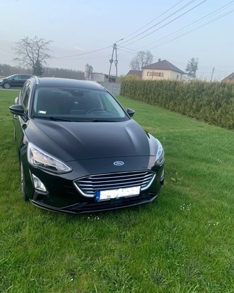 Ford Focus cena 59800 przebieg: 124220, rok produkcji 2019 z Pszczyna małe 79